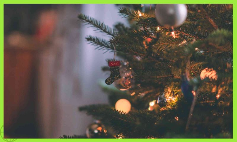 Come allestire l’albero di Natale nel migliore dei modi: idee e consigli pratici