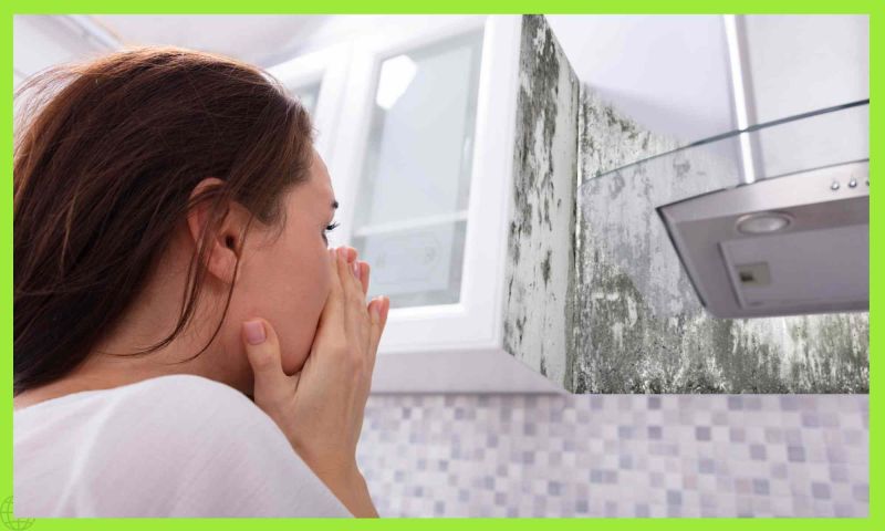 Combattere la muffa in casa: guida completa per un ambiente sano