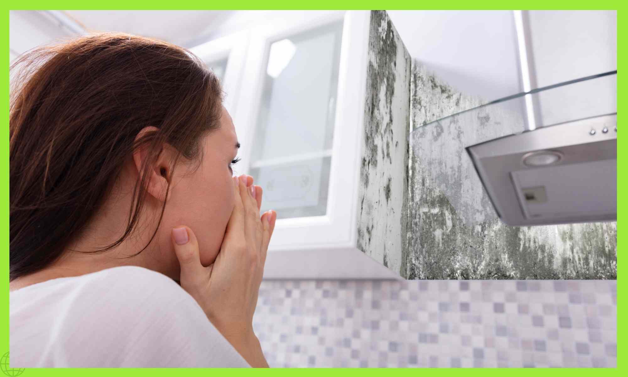 Combattere la muffa in casa: guida completa per un ambiente sano